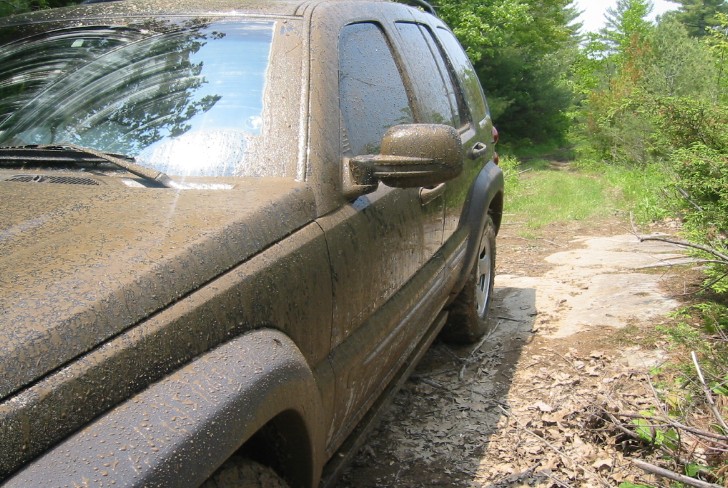 muddy.jpg